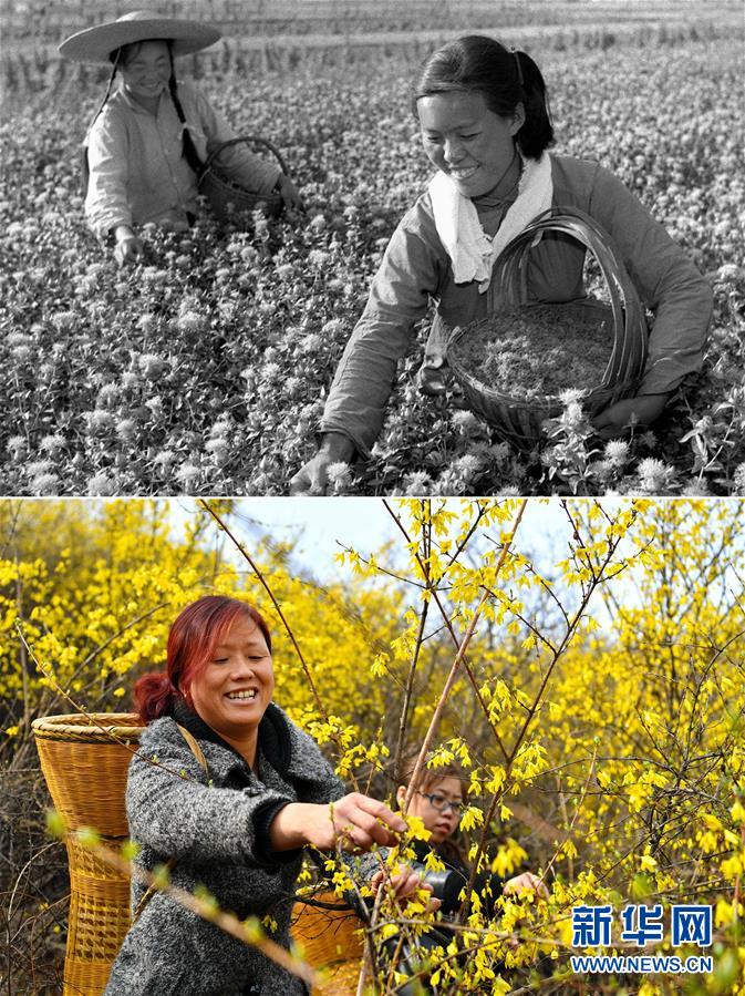 (壯麗70年·奮斗新時代)(3)70年時光流影 70行見證發(fā)展