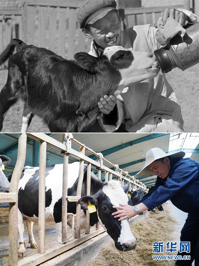 (壯麗70年·奮斗新時(shí)代)(8)70年時(shí)光流影 70行見證發(fā)展