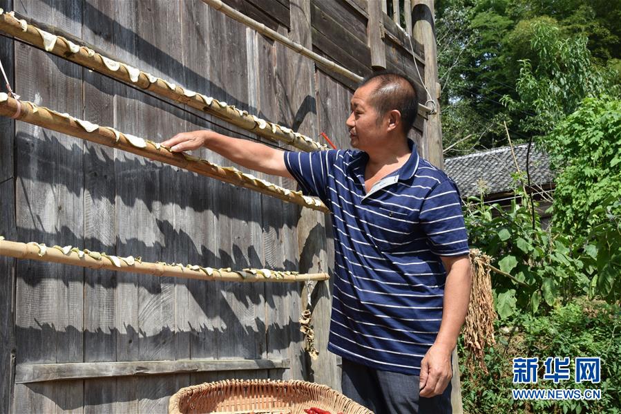 （愛國情 奮斗者&middot;圖文互動）（2）貴州印江高石坎護林隊：半輩子，以林場為家