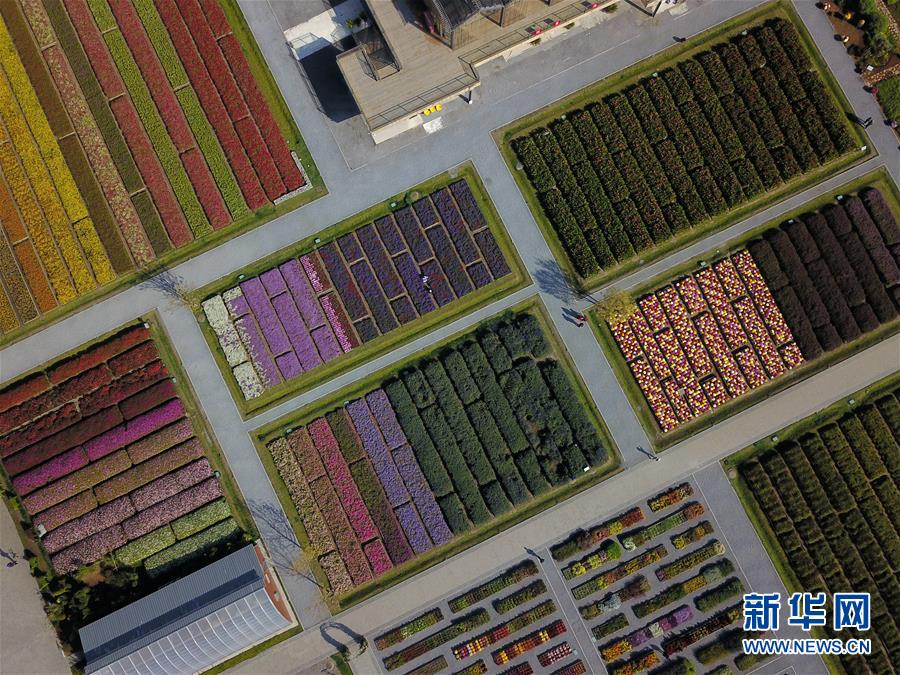 （新華全媒頭條&middot;圖文互動(dòng)）（11）難忘的&ldquo;世園記憶&rdquo; 共同的綠色追求&mdash;&mdash;寫(xiě)在北京世園會(huì)閉幕之際