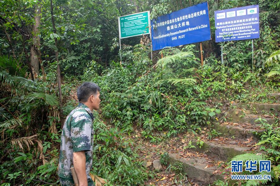 （圖文互動(dòng)）（2）科學(xué)接續(xù)保護(hù) 守住生態(tài)紅線&mdash;&mdash;探訪&ldquo;北回歸沙漠帶上的綠色明珠&rdquo;