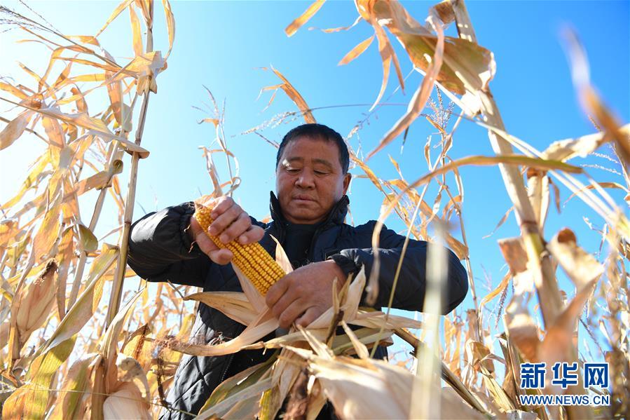 （在習(xí)近平新時(shí)代中國特色社會主義思想指引下&mdash;&mdash;新時(shí)代新作為新篇章&middot;總書記關(guān)心的百姓身邊事&middot;圖文互動）（3）一本&ldquo;村官&rdquo;日記里的扶貧路&mdash;&mdash;小故事里的大情懷之四