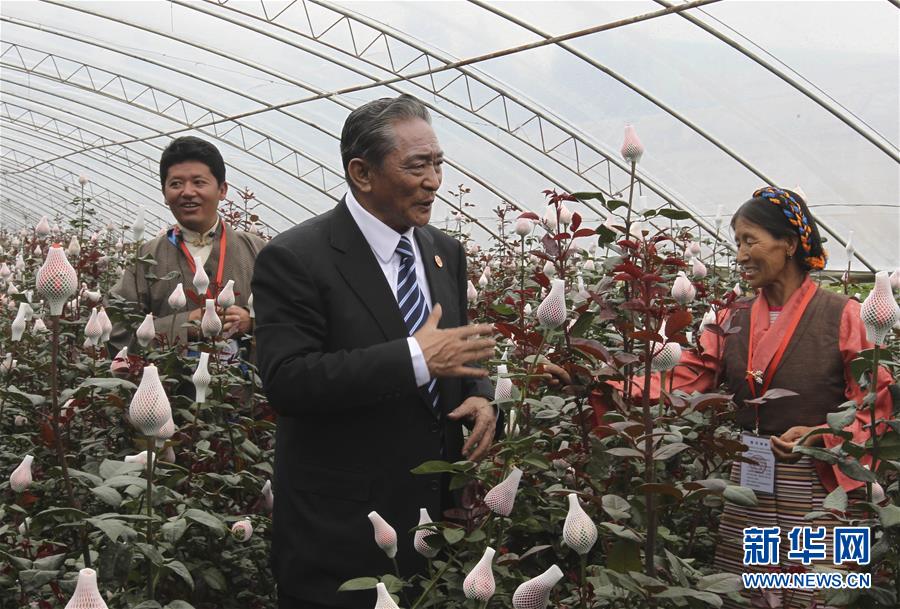 （壯麗70年&middot;奮斗新時(shí)代&mdash;&mdash;共和國榮光）（3）民族團(tuán)結(jié)的楷模&mdash;&mdash;熱地