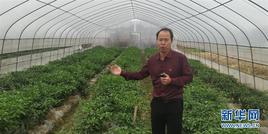 （圖文互動(dòng)）（2）163份留任申請(qǐng)&mdash;&mdash;記江西吉安163位主動(dòng)留任的第一書(shū)記