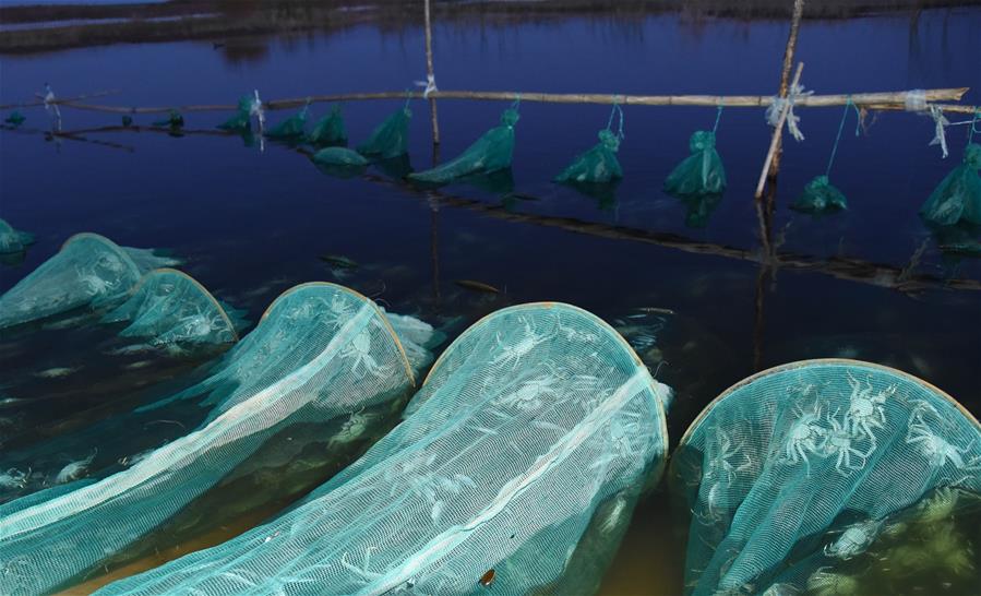 （在習近平新時代中國特色社會主義思想指引下&mdash;&mdash;新時代新作為新篇章&middot;總書記關心的百姓身邊事&middot;圖文互動）（2）水潤民心&mdash;&mdash;全國農(nóng)村飲水安全攻堅成效觀察