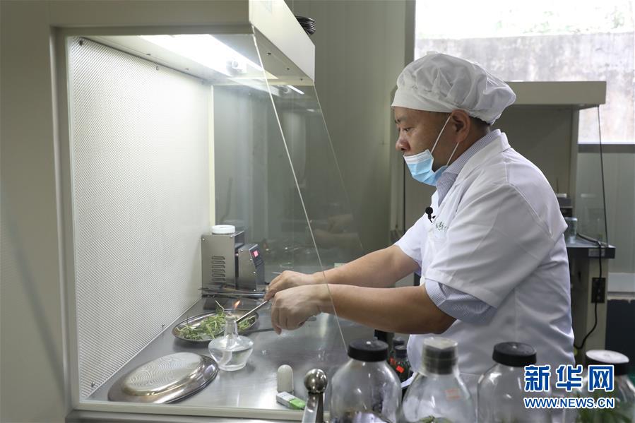 （在習(xí)近平新時(shí)代中國(guó)特色社會(huì)主義思想指引下&mdash;&mdash;新時(shí)代新作為新篇章&middot;總書記關(guān)心的百姓身邊事&middot;圖文互動(dòng)）（5）&ldquo;科技秀才&rdquo;給田野帶來(lái)新希望