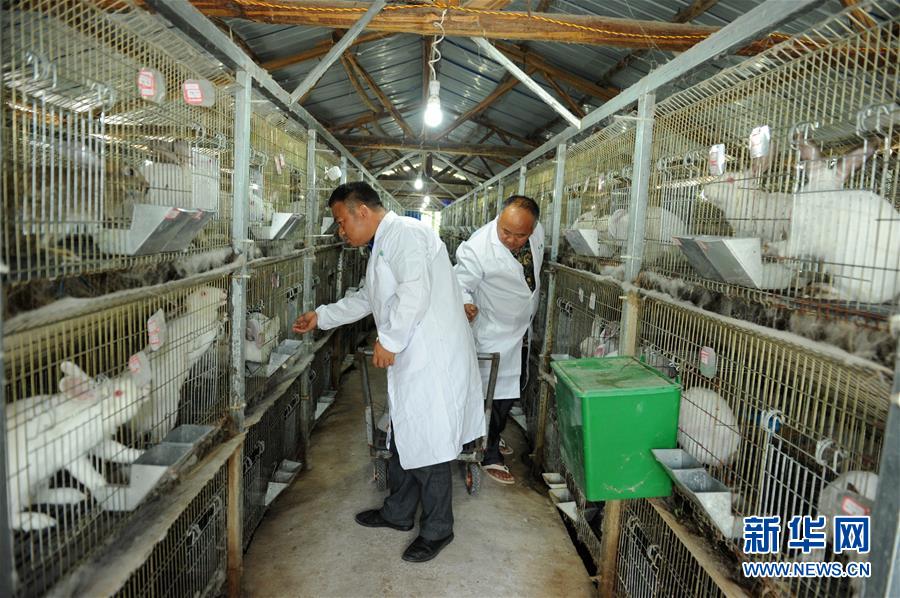 （新華全媒頭條&middot;圖文互動(dòng)）（4）干部去哪兒了？&mdash;&mdash;貴州干部大規(guī)模下沉脫貧攻堅(jiān)一線紀(jì)實(shí)