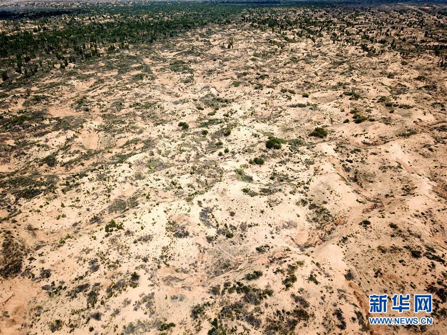 （圖文互動）（2）陜西榆林毀林建光伏電站追蹤：還有哪些疑團有待破解？ 