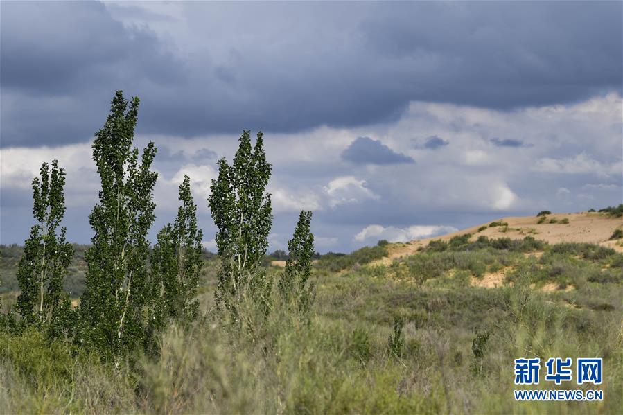 （在習(xí)近平新時(shí)代中國特色社會(huì)主義思想指引下&mdash;&mdash;新時(shí)代新作為新篇章&middot;總書記關(guān)切高質(zhì)量發(fā)展&middot;圖文互動(dòng)）（2）從一粒沙看不斷擴(kuò)大的中國綠色版圖