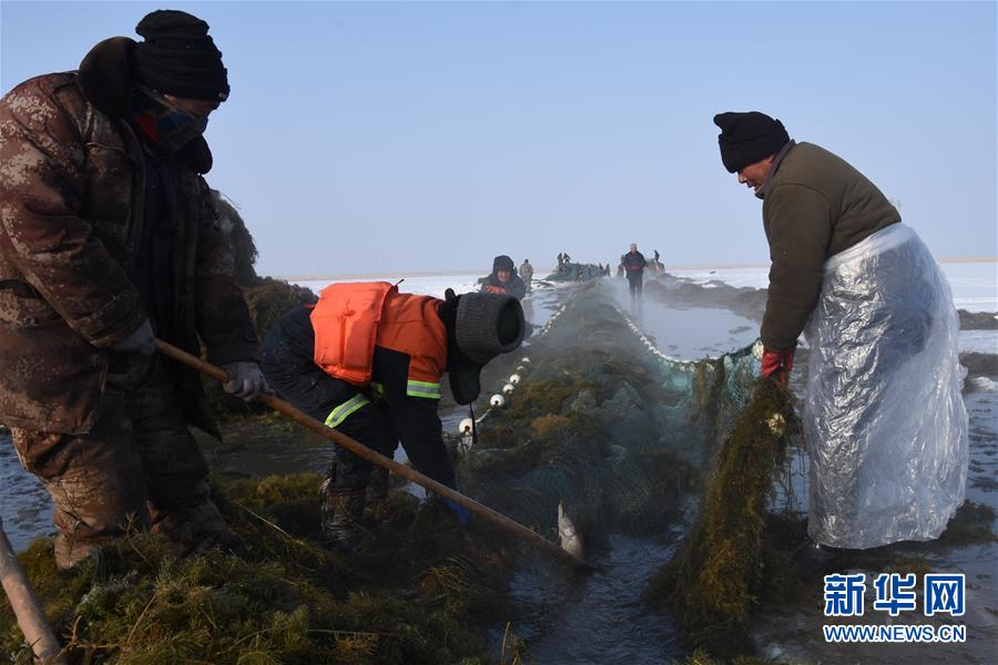 (新春走基層·圖文互動)(4)“干活的人不會冷”——直擊新疆吉力湖冬捕現(xiàn)場