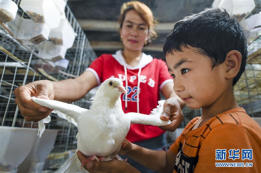 （新華全媒頭條&middot;聚焦中國經(jīng)濟成績單&middot;圖文互動）（10）為全面建成小康社會奠定堅實基礎(chǔ)&mdash;&mdash;從2019年數(shù)據(jù)看中國經(jīng)濟發(fā)展大勢