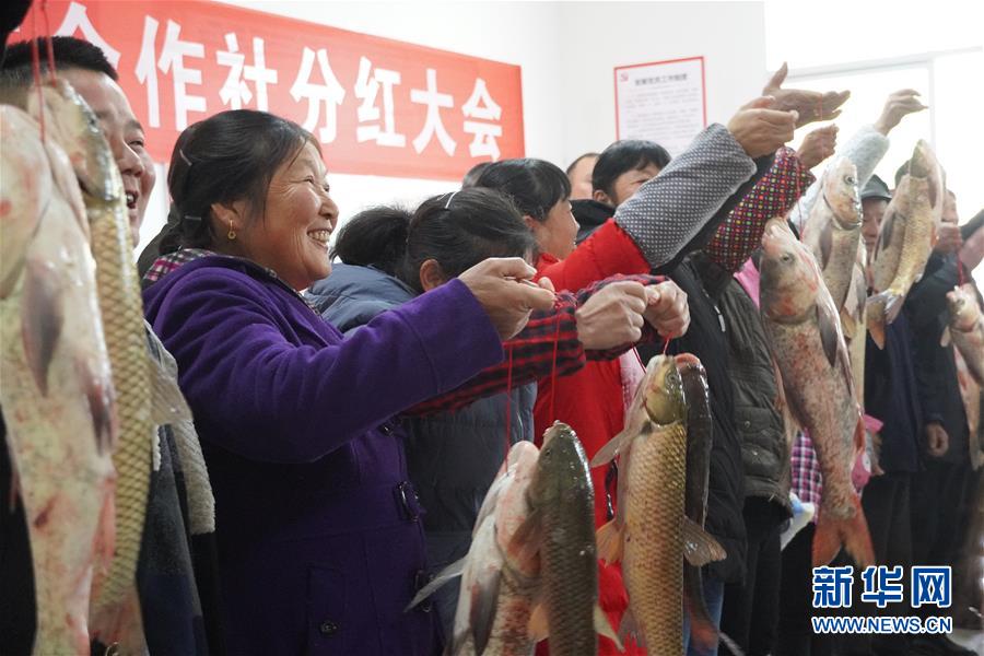 （新春走基層&middot;圖文互動）（3）&ldquo;空殼村&rdquo;分紅啦！