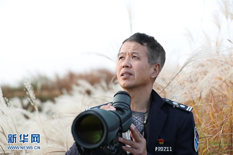 （新春走基層&middot;圖文互動(dòng)）他們，默默守護(hù)候鳥(niǎo)