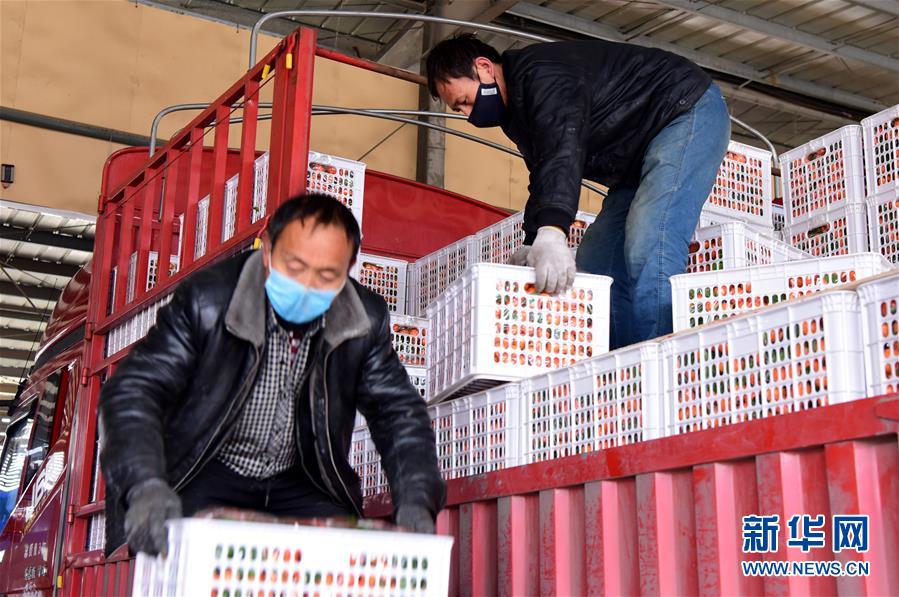 （聚焦疫情防控&middot;圖文互動）（5）吃的東西充足，做點(diǎn)花樣菜吧！&mdash;&mdash;中部地區(qū)最大農(nóng)產(chǎn)品批發(fā)市場見聞 