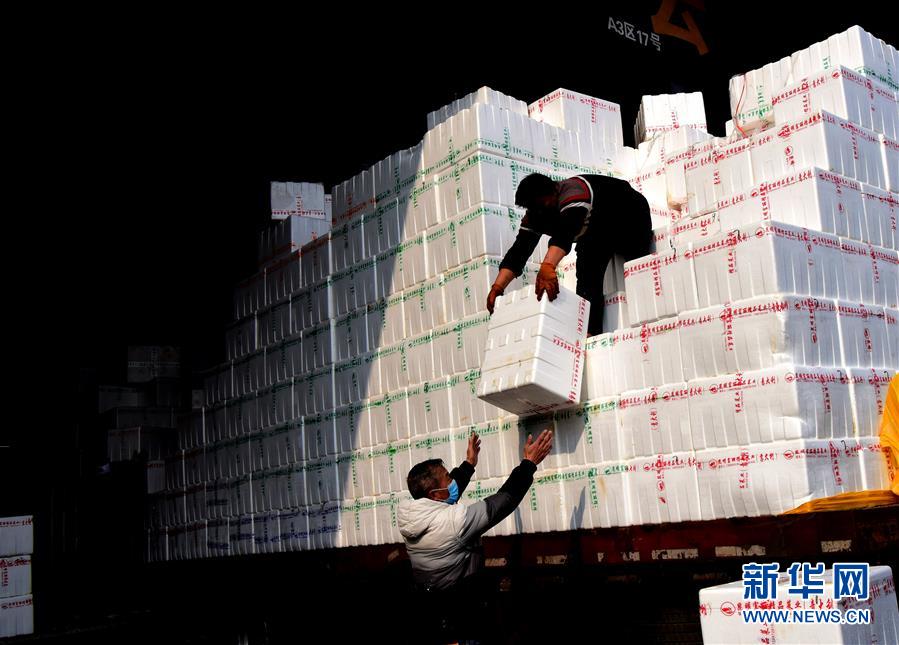 （聚焦疫情防控&middot;圖文互動）（4）吃的東西充足，做點(diǎn)花樣菜吧！&mdash;&mdash;中部地區(qū)最大農(nóng)產(chǎn)品批發(fā)市場見聞 