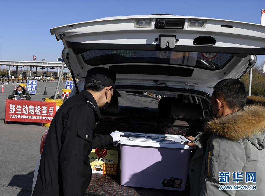 （新華全媒頭條&middot;圖文互動）（9）以法治為綱 聚保障之力&mdash;&mdash;在法治軌道上推進疫情防控紀(jì)實