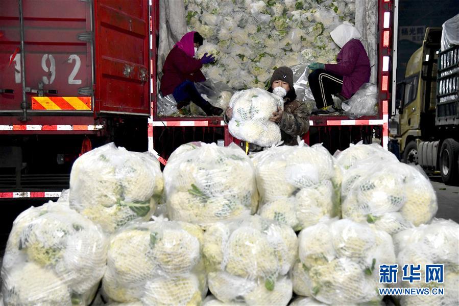 （在習(xí)近平新時(shí)代中國(guó)特色社會(huì)主義思想指引下&mdash;&mdash;新時(shí)代新作為新篇章&middot;習(xí)近平總書(shū)記關(guān)切事&middot;圖文互動(dòng)）（5）&ldquo;菜籃子&rdquo;里的力量&mdash;&mdash;全國(guó)各地努力做好保障和改善民生工作在行動(dòng)