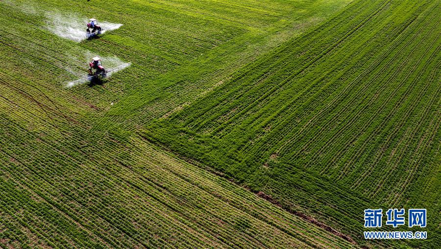 （新華全媒頭條&middot;圖文互動(dòng)）（13）磨難壓不垮 奮起正當(dāng)時(shí)&mdash;&mdash;習(xí)近平總書(shū)記在統(tǒng)籌推進(jìn)新冠肺炎疫情防控和經(jīng)濟(jì)社會(huì)發(fā)展工作部署會(huì)議上的重要講話振奮人心凝聚力量