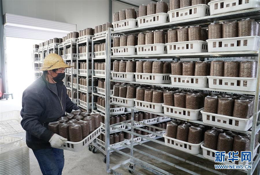 （決戰(zhàn)決勝脫貧攻堅&middot;圖文互動）（1）秦巴山區(qū)：戰(zhàn)疫戰(zhàn)貧，兩場仗都要打贏