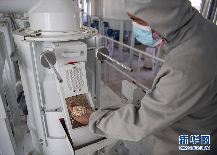 （新華全媒頭條&middot;圖文互動）（7）血脈同心 共盼春來&mdash;&mdash;疫情阻擊戰(zhàn)中的雪域故事