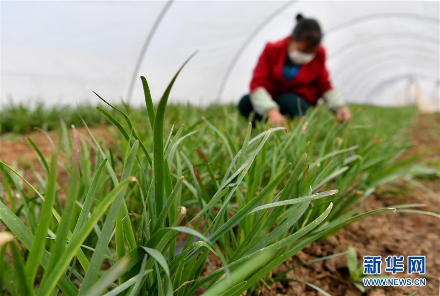 （圖文互動(dòng)）（3）&ldquo;春天到了，熟悉的生活正在慢慢回來(lái)&rdquo;&mdash;&mdash;陜西多地復(fù)產(chǎn)復(fù)工一線見(jiàn)聞