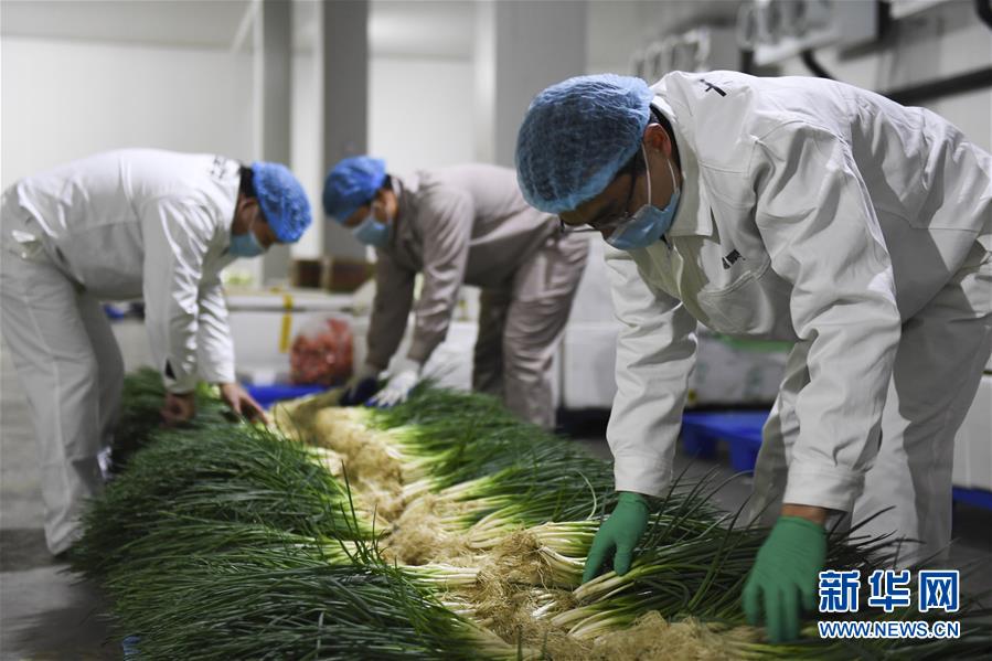 （圖文互動(dòng)）（6）&ldquo;早一天復(fù)工，損失就少一點(diǎn)&rdquo;&mdash;&mdash;廣西以精準(zhǔn)防控推動(dòng)復(fù)工復(fù)產(chǎn)一線見聞