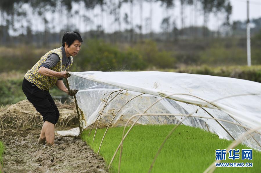 （圖文互動(dòng)）（2）&ldquo;早一天復(fù)工，損失就少一點(diǎn)&rdquo;&mdash;&mdash;廣西以精準(zhǔn)防控推動(dòng)復(fù)工復(fù)產(chǎn)一線見聞