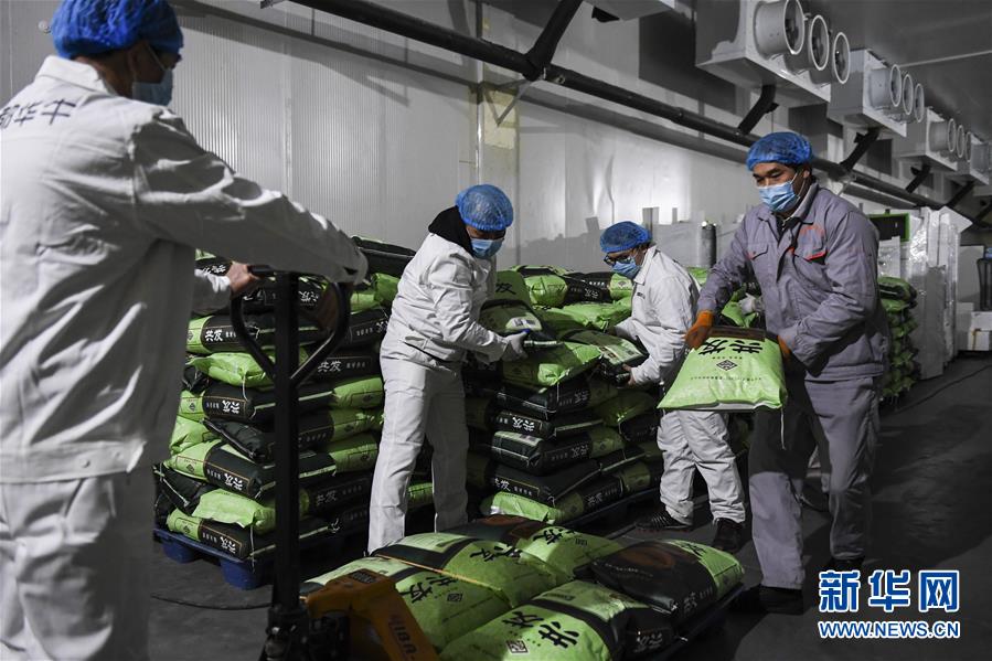 （抓好經(jīng)濟(jì)發(fā)展 應(yīng)對(duì)復(fù)雜局面&middot;圖文互動(dòng)）（1）&ldquo;一企一策&rdquo;解難題 大項(xiàng)目按下&ldquo;加速器&rdquo;&mdash;&mdash;廣西精準(zhǔn)有序推動(dòng)項(xiàng)目開(kāi)工復(fù)工