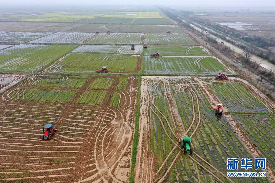 （抓好春耕備耕 穩(wěn)住農業(yè)生產&middot;圖文互動）（2）智能農機、&ldquo;訂單&rdquo;服務、&ldquo;云端&rdquo;種菜&mdash;&mdash;來自江西的春耕&ldquo;新事&rdquo;