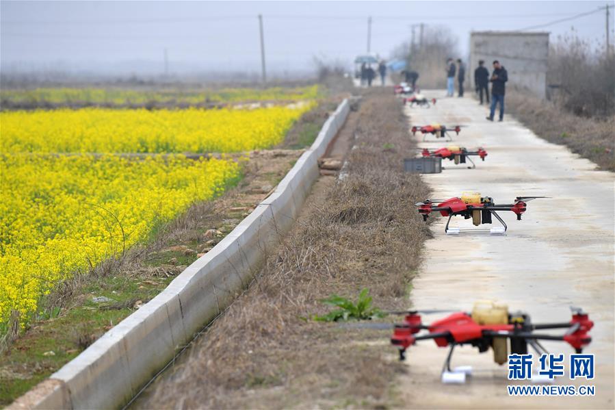 （抓好春耕備耕 穩(wěn)住農業(yè)生產&middot;圖文互動）（4）智能農機、&ldquo;訂單&rdquo;服務、&ldquo;云端&rdquo;種菜&mdash;&mdash;來自江西的春耕&ldquo;新事&rdquo;