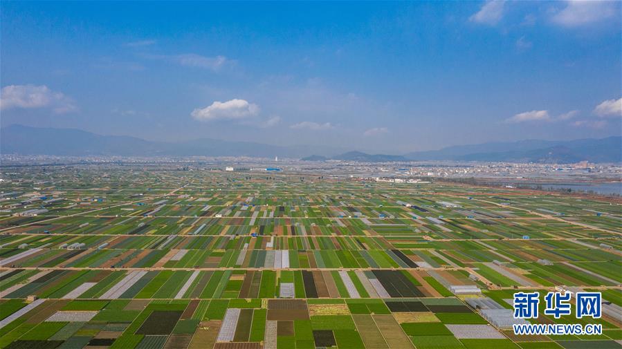 （抓好春耕備耕 穩(wěn)住農(nóng)業(yè)生產(chǎn)&middot;圖文互動(dòng)）（5）&ldquo;栽種的是菜苗，收獲的是希望&rdquo;&mdash;&mdash;云南蔬菜集散地通?？h春耕見(jiàn)聞 