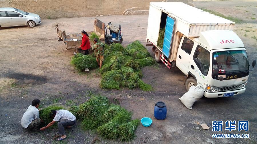 （決戰(zhàn)決勝脫貧攻堅&middot;圖文互動）（2）三訪長征村