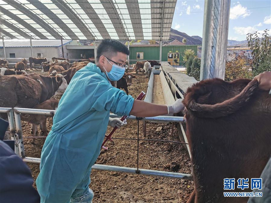 (決戰(zhàn)決勝脫貧攻堅(jiān)·圖文互動)(2)脫貧“不暫停” 服務(wù)“不打烊”——天津通過“云端”幫扶為甘肅受援地區(qū)戰(zhàn)貧繼續(xù)助力