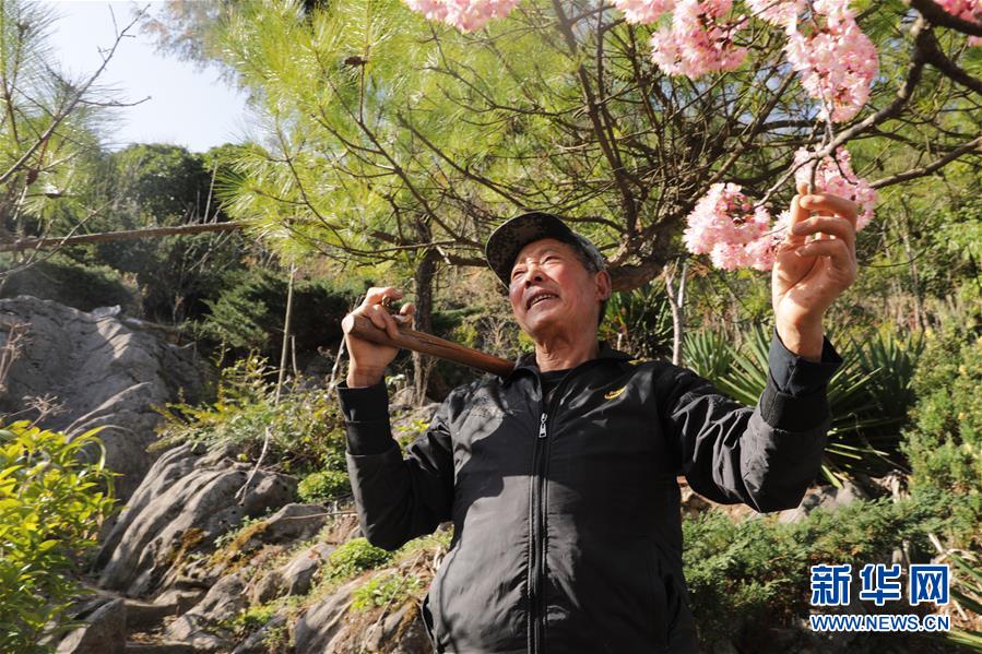 (圖文互動(dòng))(1)湖北巴東迎春農(nóng)場(chǎng)春管忙