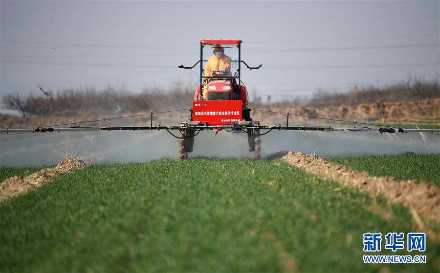 （新華全媒頭條&middot;圖文互動(dòng)）（9）春色最濃在田間&mdash;&mdash;來(lái)自全國(guó)春耕備耕的現(xiàn)場(chǎng)觀察