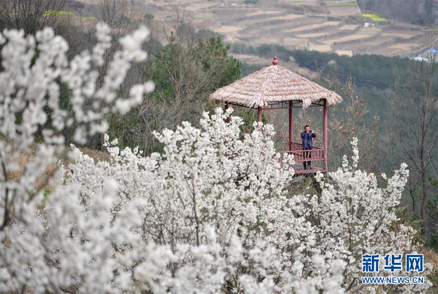 （新華全媒頭條&middot;圖文互動(dòng)）（6）奔向新的幸福&mdash;&mdash;陜西貧困縣全部摘帽的N個(gè)截面