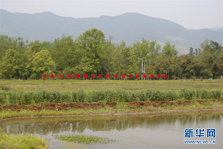 （圖文互動）（2）疏通產(chǎn)業(yè)鏈堵點(diǎn) 保障&ldquo;菜籃子&rdquo;供應(yīng)&mdash;&mdash;重慶養(yǎng)殖大區(qū)力促養(yǎng)殖業(yè)補(bǔ)損復(fù)產(chǎn)