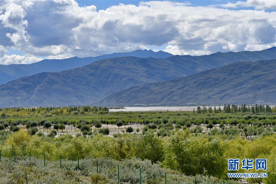 （圖文互動(dòng)）（4）&ldquo;今天的生活，就像夢(mèng)里夢(mèng)到那樣甜&rdquo;&mdash;&mdash;寫(xiě)在西藏百萬(wàn)農(nóng)奴解放61周年之際