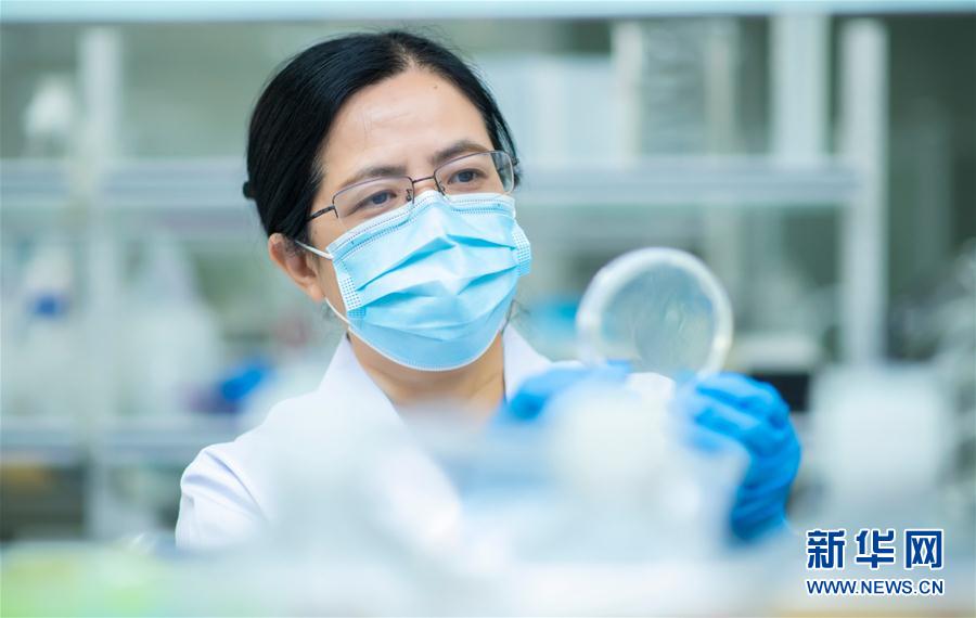 （習近平致敬的戰(zhàn)&ldquo;疫&rdquo;英雄&middot;科技工作者篇&middot;圖文互動）（4）他們，爭分奪秒與病魔較量