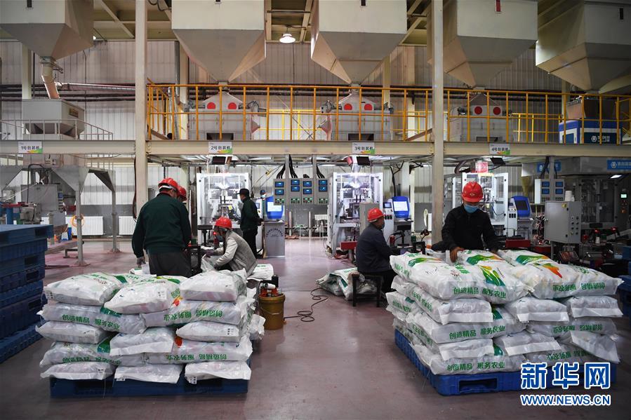 （抓好春耕備耕 穩(wěn)住農(nóng)業(yè)生產(chǎn)&middot;圖文互動(dòng)）（3）走向泥土是我們的終極夢(mèng)想&mdash;&mdash;一粒種子的自述