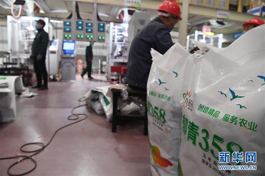 （抓好春耕備耕 穩(wěn)住農(nóng)業(yè)生產(chǎn)&middot;圖文互動(dòng)）（5）走向泥土是我們的終極夢(mèng)想&mdash;&mdash;一粒種子的自述