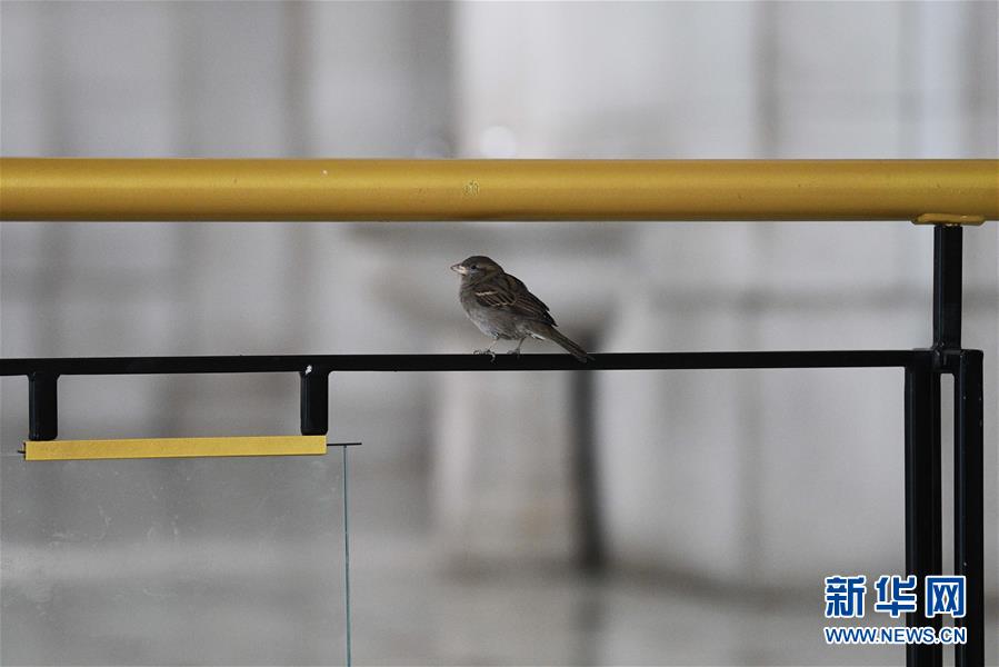 （國(guó)際疫情）（5）約翰斯&middot;霍普金斯大學(xué)：美國(guó)新冠肺炎確診病例超過14萬(wàn)例