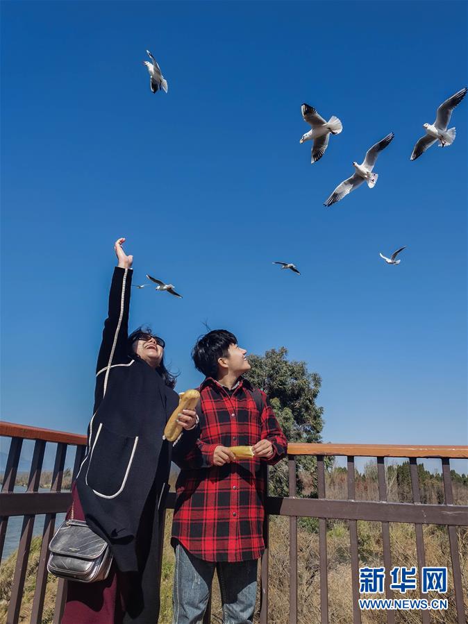 （一線抗疫群英譜&middot;圖文互動）（1）大學生志愿者譚藝西：在武漢，我和媽媽共戰(zhàn)&ldquo;疫&rdquo;