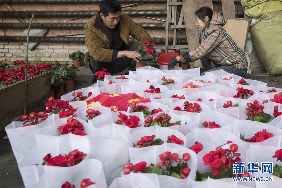 （在習(xí)近平新時(shí)代中國(guó)特色社會(huì)主義思想指引下&mdash;&mdash;新時(shí)代新作為新篇章&middot;習(xí)近平總書記關(guān)切事&middot;圖文互動(dòng)）（1）希望的田野，希望的春天&mdash;&mdash;各地農(nóng)業(yè)生產(chǎn)新動(dòng)態(tài)掃描