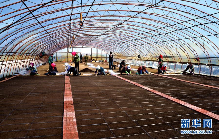 （在習(xí)近平新時(shí)代中國(guó)特色社會(huì)主義思想指引下&mdash;&mdash;新時(shí)代新作為新篇章&middot;習(xí)近平總書記關(guān)切事&middot;圖文互動(dòng)）（5）希望的田野，希望的春天&mdash;&mdash;各地農(nóng)業(yè)生產(chǎn)新動(dòng)態(tài)掃描