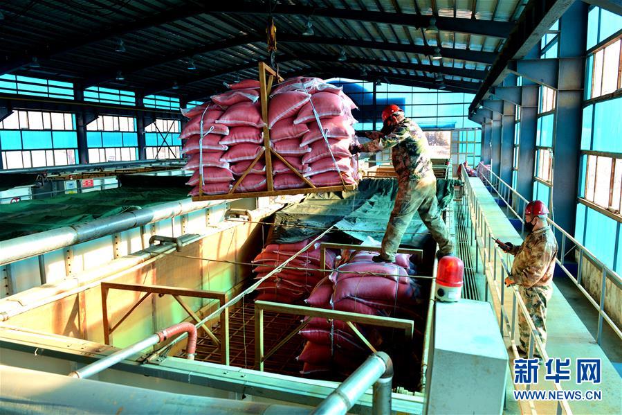 （在習(xí)近平新時(shí)代中國(guó)特色社會(huì)主義思想指引下&mdash;&mdash;新時(shí)代新作為新篇章&middot;習(xí)近平總書記關(guān)切事&middot;圖文互動(dòng)）（6）希望的田野，希望的春天&mdash;&mdash;各地農(nóng)業(yè)生產(chǎn)新動(dòng)態(tài)掃描