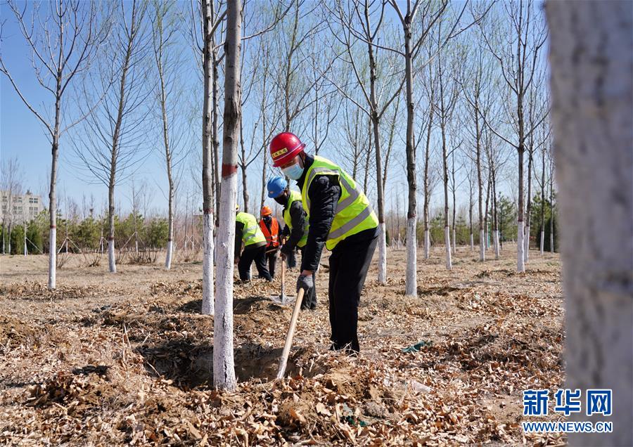 （新華全媒頭條&middot;圖文互動(dòng)）（8）雄安畫(huà)卷徐徐鋪展　&ldquo;未來(lái)之城&rdquo;蓄勢(shì)待發(fā)&mdash;&mdash;雄安新區(qū)設(shè)立三周年巡禮