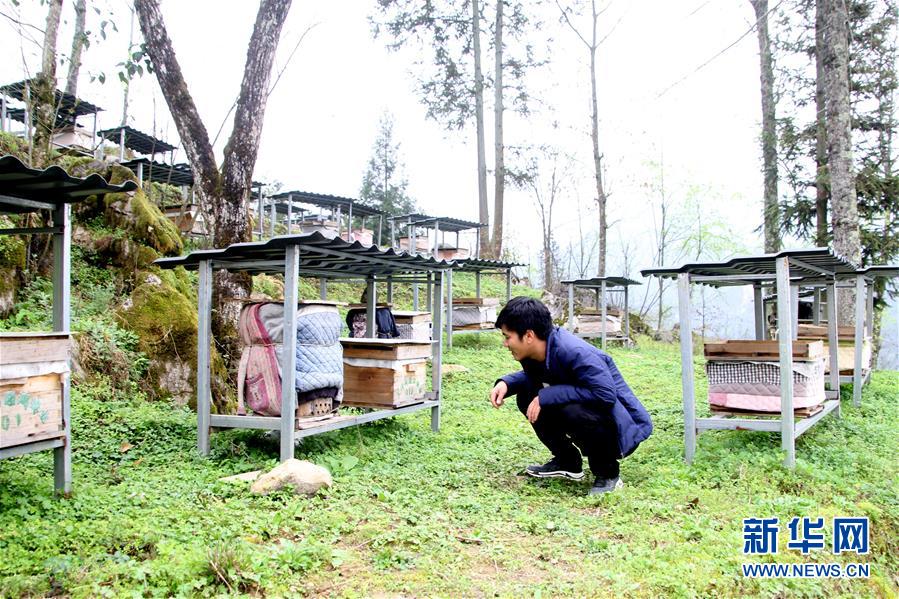 （決戰(zhàn)決勝脫貧攻堅&middot;圖文互動）（3）寄相思，償夙愿&mdash;&mdash;5封清明&ldquo;家書&rdquo;里的決戰(zhàn)決勝信念