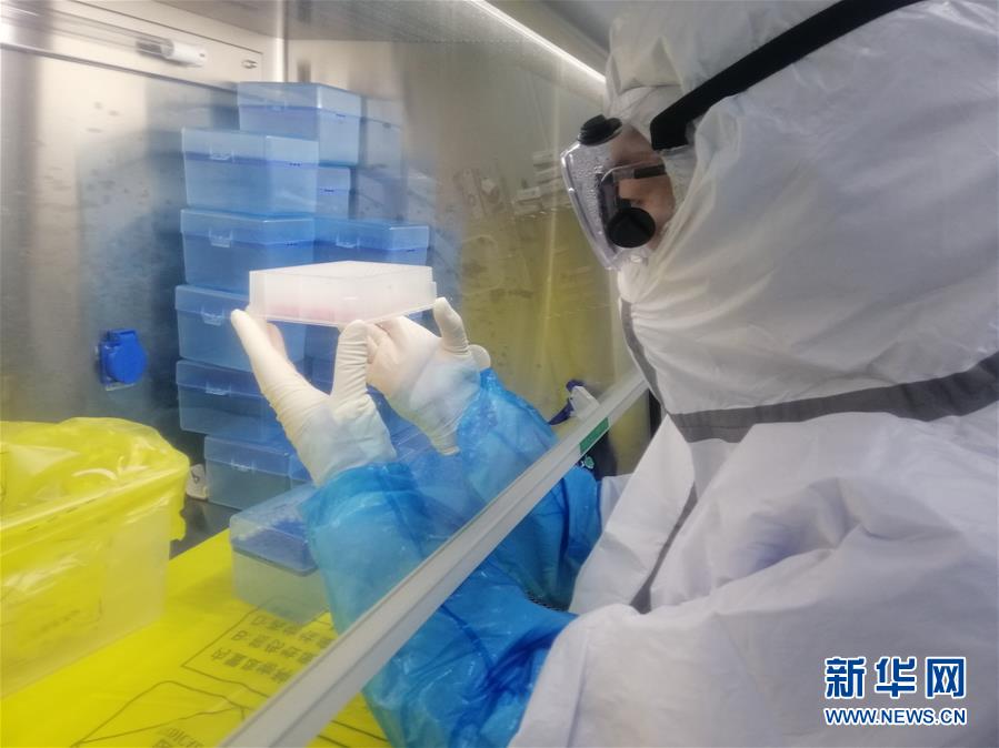 （一線抗疫群英譜&middot;圖文互動(dòng)）（2）&ldquo;95后&rdquo;大學(xué)生郝鶯歌：退掉車票，她選擇直面病毒