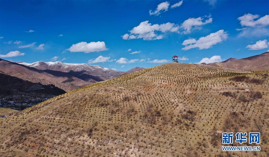 (新華全媒頭條·圖文互動(dòng))(6)三江之源見證中國(guó)奇跡——寫在玉樹地震10周年之際